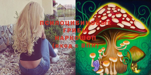 прущий лед Кулебаки