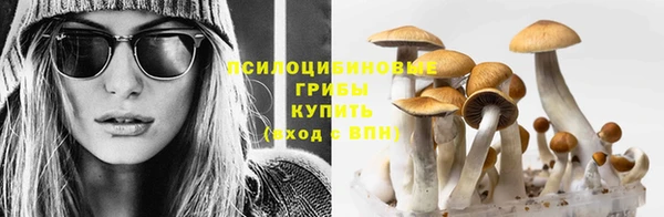 стаф Тихвин