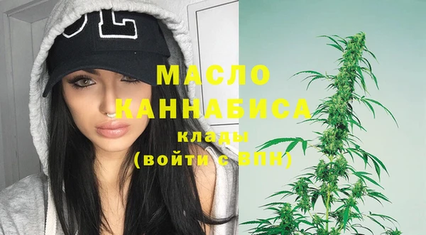 дживик Краснослободск
