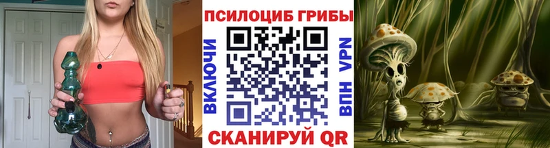 где купить   Называевск  Галлюциногенные грибы прущие грибы 
